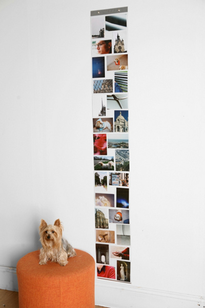 Picture Window