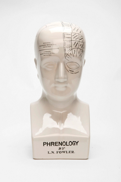 Phrenology Head Jewelry Stand