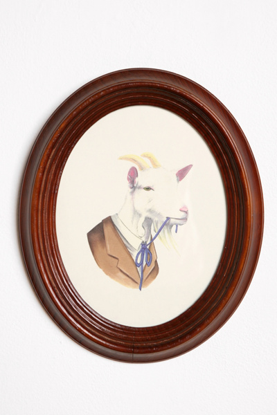 Framed Animal Portraits by Ryan Berkley