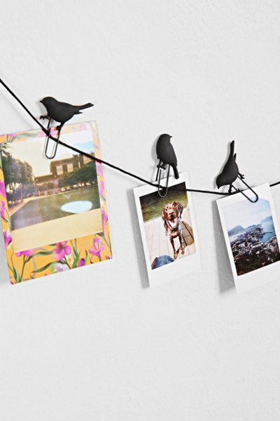 Birds on a Wire Photo Clip - Set of 8