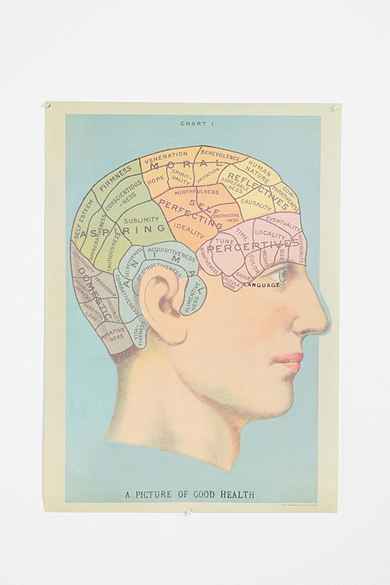 Phrenology Head Poster