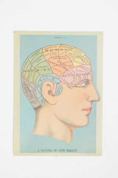 Phrenology Head Poster