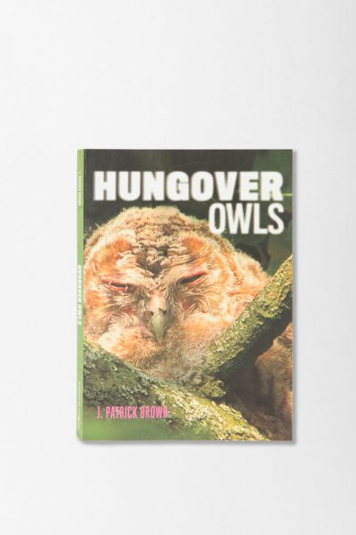 Thumbnail image for Hungover Owls By J. Patrick Brown