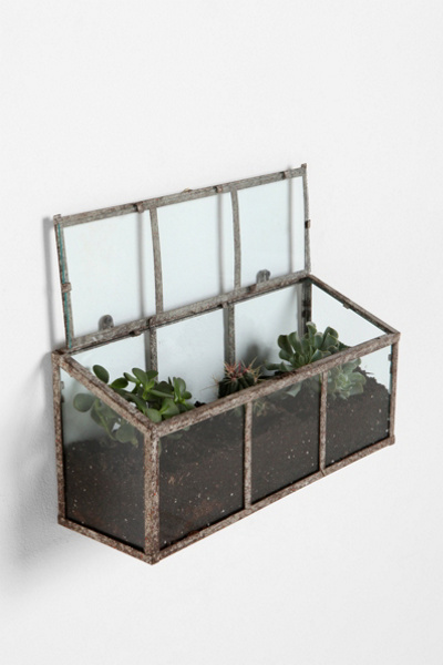 Glass Terrarium