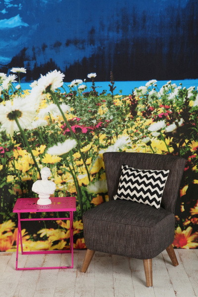 Wild Mountain Tapestry Urban Outfitters