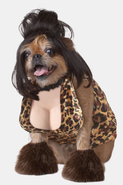 Lady Tramp Dog Costume - Urban Outfitters