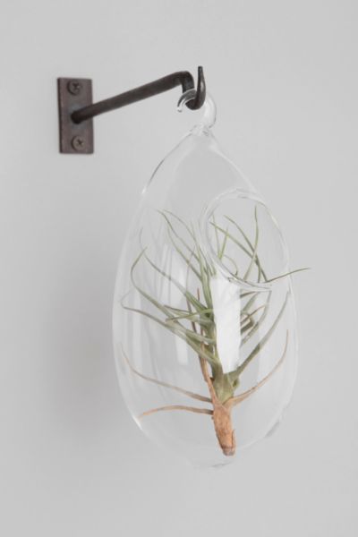 Urban Outfitters - Oval Hanging Terrarium customer reviews - product ...