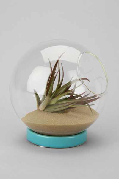 Terrarium Colored Sand Urban Outfitters