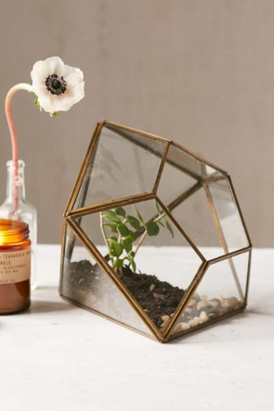 Magical Thinking Geo Terrarium