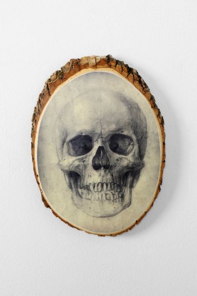 Skull Plaque