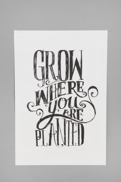 Matthew Taylor Wilson Grow Where You Are Planted Art Print