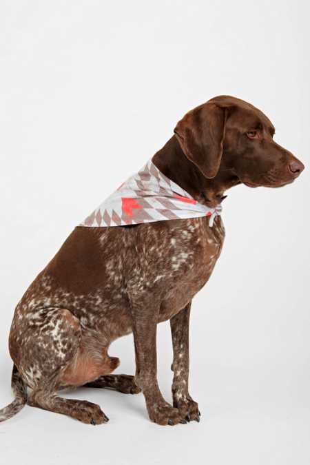Holli Zollinger For DENY Rustic Pet Bandana