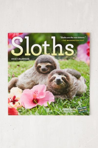 Sloth 2016 Wall Calendar - Urban Outfitters