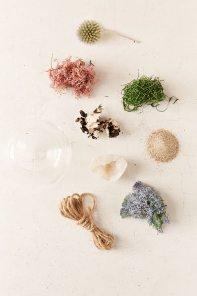 DIY hanging geode terrarium