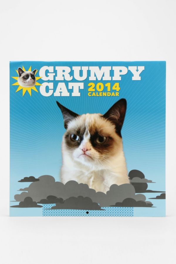 Grumpy Cat 2014 Calendar Urban Outfitters