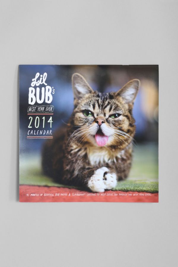 Lil BUB 2014 Calendar | Urban Outfitters
