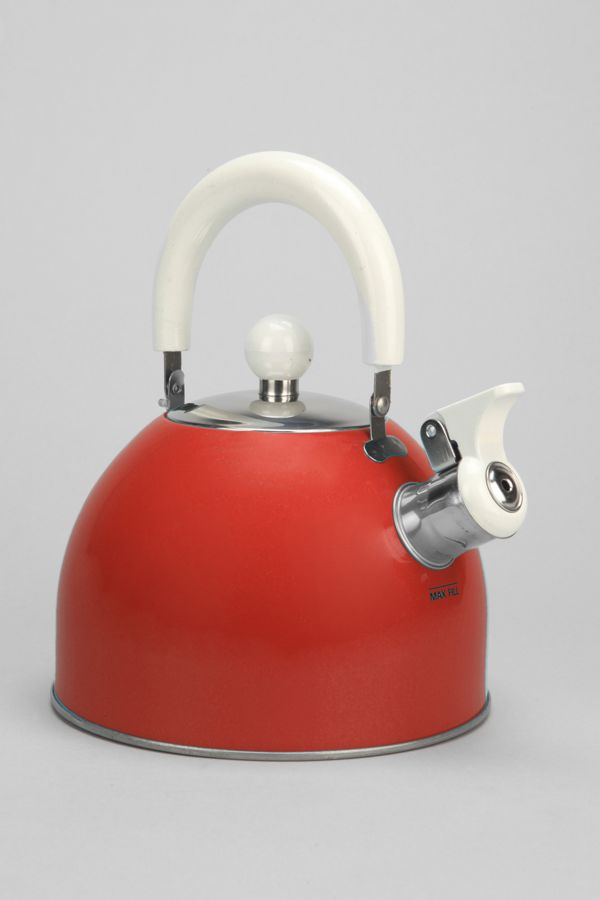 Stainless Tea Kettle Urban Outfitters
