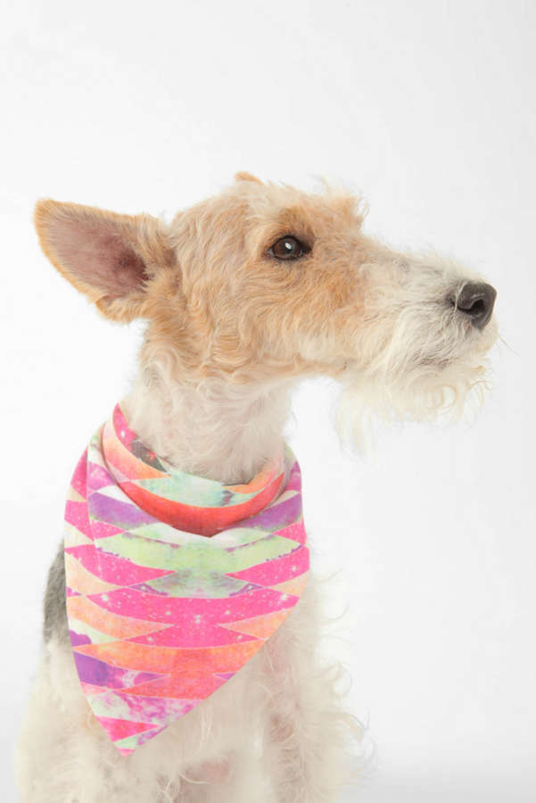 Slide View: 1: Bianca Green For Deny Ancient Star Pet Bandana