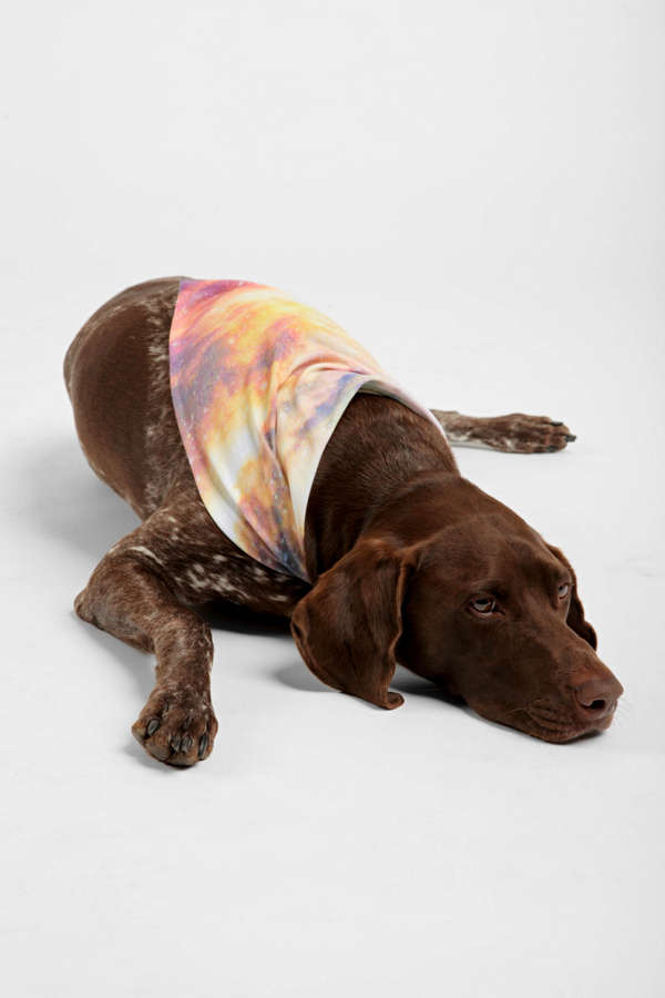 Slide View: 1: Shannon Clark For Deny Cosmic Pet Bandana