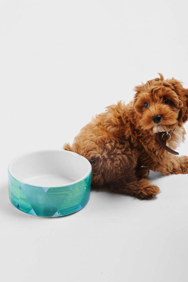 Slide View: 1: Kei Ivor For Deny Pet Bowl Set
