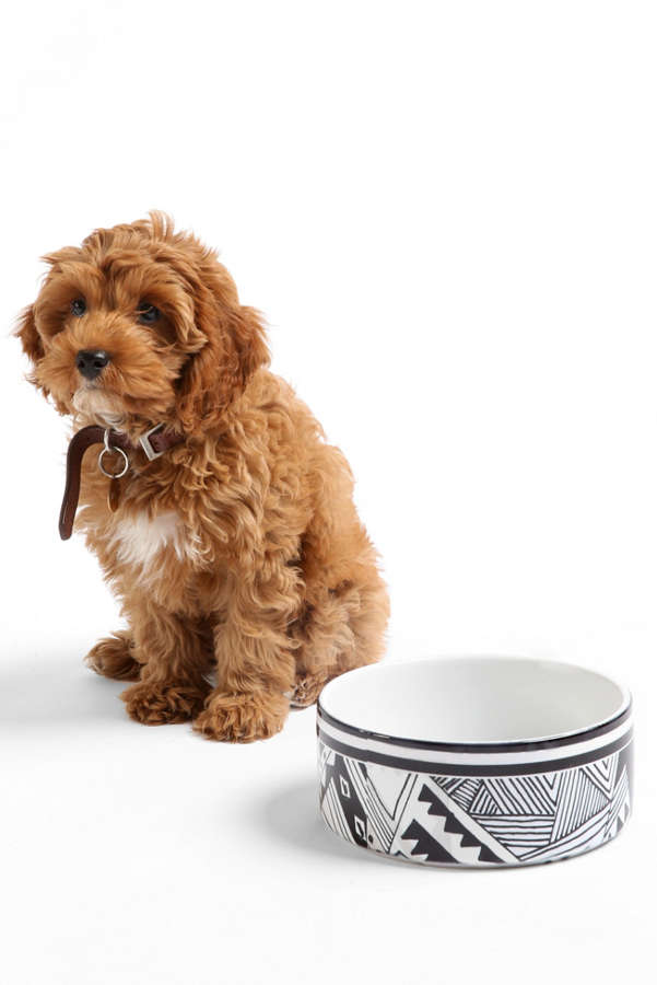 Slide View: 1: Kris Tate For Deny Pet Bowl Set