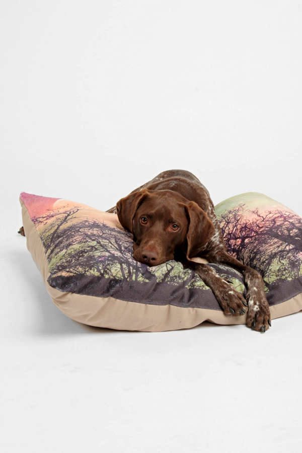 Slide View: 1: Shannon Clark For Deny Moon Magic Pet Bed
