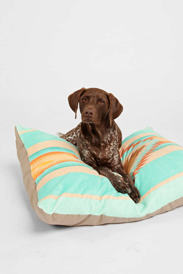 Slide View: 1: Bianca Green For Deny Fiesta Teal Pet Bed