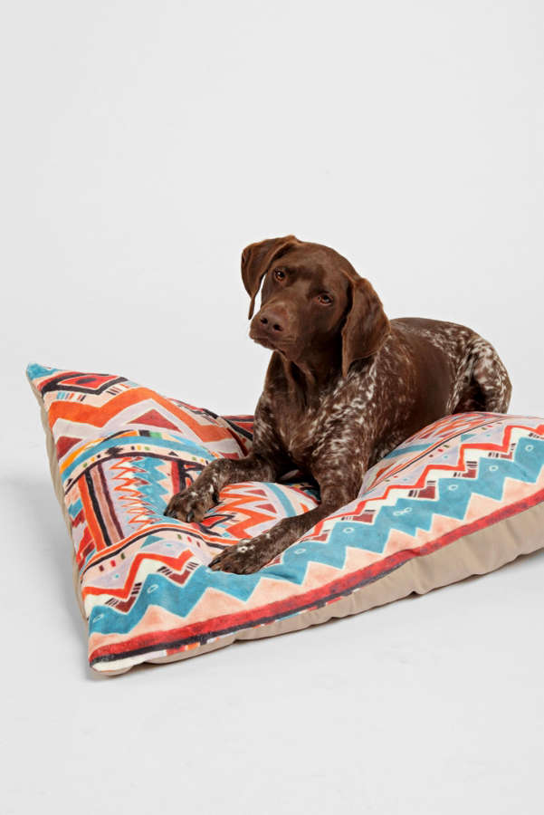 Slide View: 1: Kris Tate For Deny Cactus 1 Pet Bed