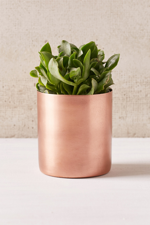 12 Ways Your Porch Can Make a Massive Statement| Porch Decor, Porch Decor Ideas, How to Decorate Your Porch, Fast Ways to Decorate Your Porch, Holiday Porch Ideas, DIY Porch, DIY Porch Decor, Popular Pin