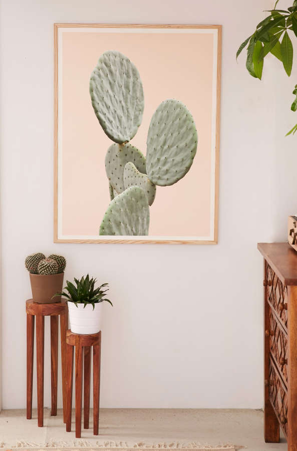 frame from size 8x10 up Mountain Art Urban Outfitters Cactus Wilder Print California frame from size 8x10 up Mountain Art Urban Outfitters Cactus Wilder Print California
