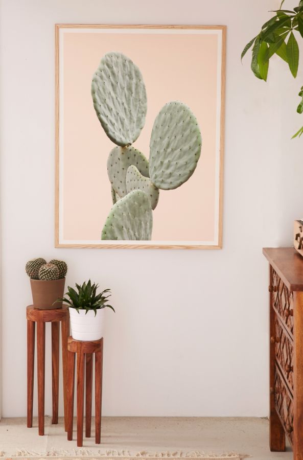 8x10 from frame size up Mountain Cactus Print  Art Wilder Outfitters Urban California