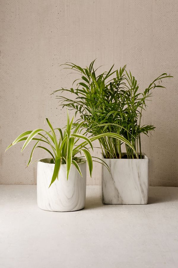 Slide View: 1: Marble Shape Planter