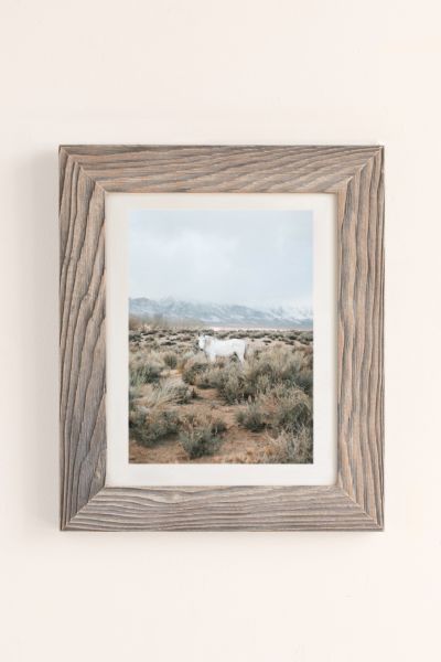 Urban Outfitters Rodrigo Trevino Desert Horse Art Print In Buff Barnwood