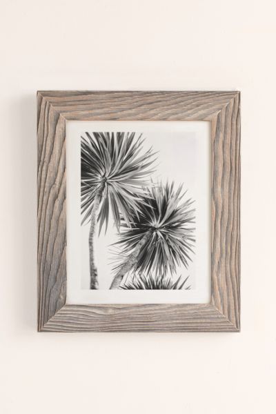 Urban Outfitters Kate Doherty Monochrome La Palms Art Print