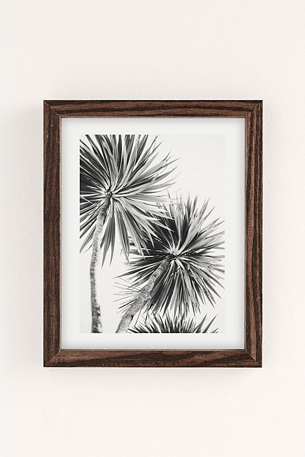 Urban Outfitters Kate Doherty Monochrome La Palms Art Print