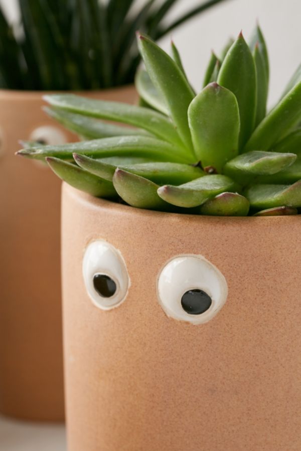 Slide View: 3: Henry Googly Eye Planter