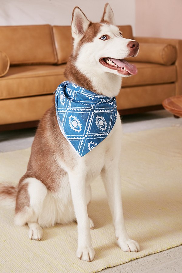 Deny Designs Dash And Ash For Deny Eyes And Skys Pet Bandana In Blue Multi