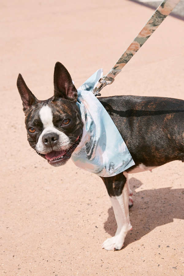 Slide View: 2: Jacqueline Maldonado For Deny Marble Mist Pet Leash