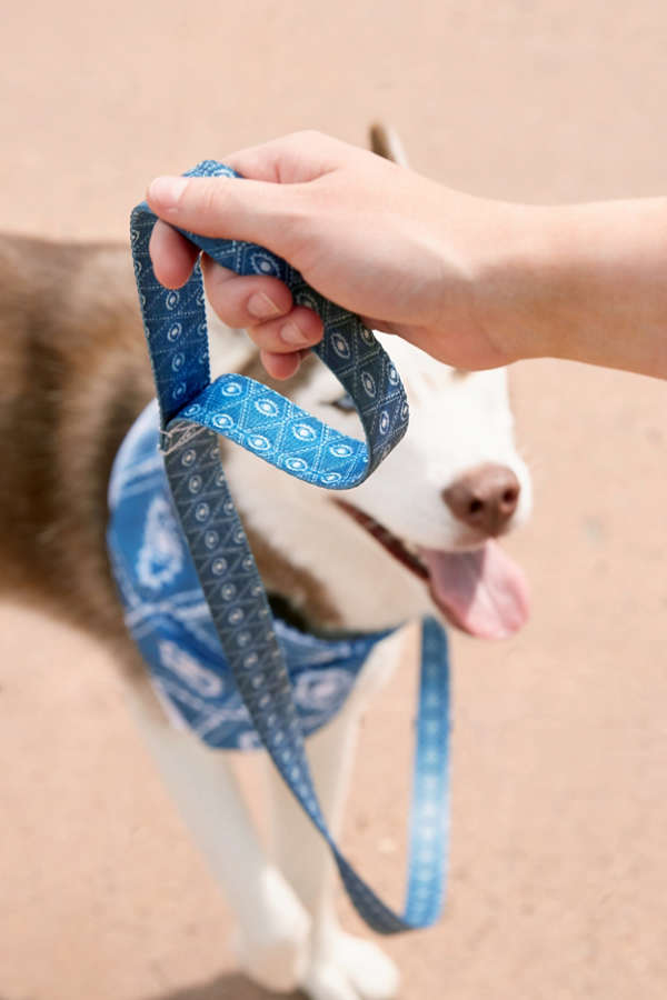 Slide View: 1: Dash And Ash For Deny Eyes And Skys Pet Leash