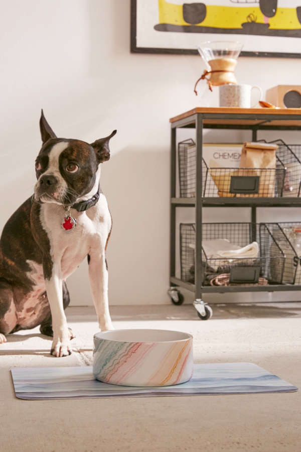 Slide View: 1: Iveta Abolina For Deny Desert Pet Bowl