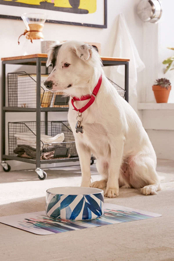 Slide View: 1: Emanuela Carratoni For Deny Sweet Tropicana Pet Bowl
