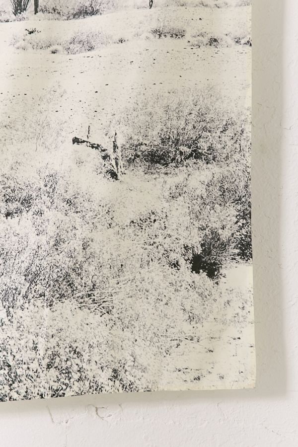 Bree Madden For Deny Desert Times Tapestry Urban Outfitters