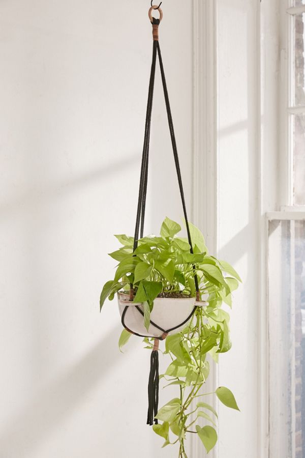 Edda 8" Planter + Hanger Set Urban Outfitters