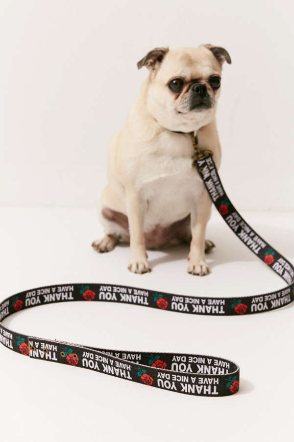 Slide View: 1: Chinatown Market For UO Thank You Leash