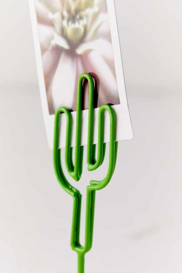 Cactus Photo Clip | Urban Outfitters
