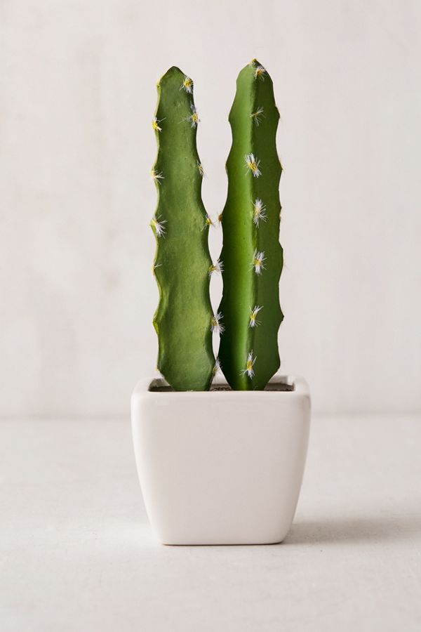 Slide View: 1: 4" Ceramic Potted Faux Cactus