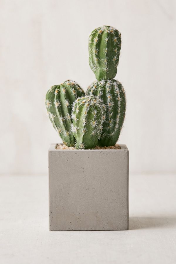 Slide View: 1: 6" Concrete Potted Faux Cactus