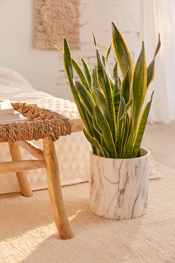 Slide View: 1: 10" Marble Planter