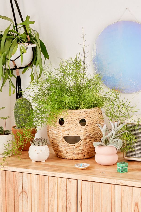 Happy Woven Rattan Planter Cover Urban Outfitters
