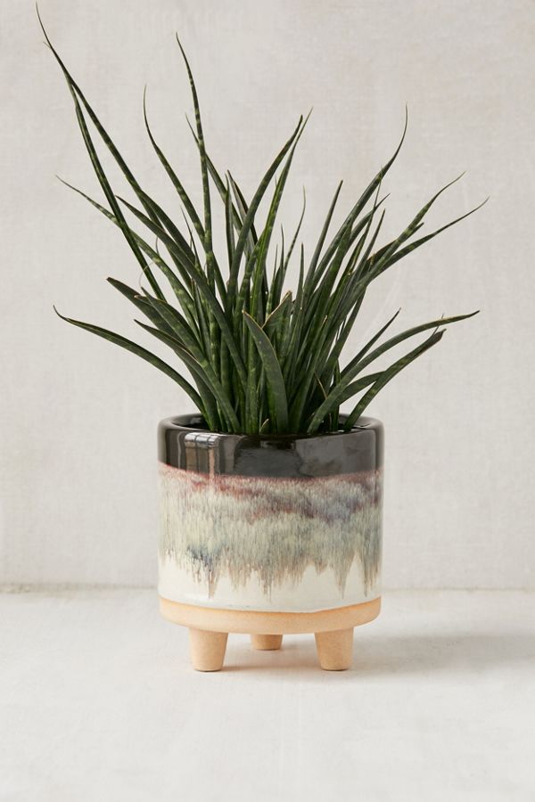 Slide View: 1: Liv 5” Footed Planter